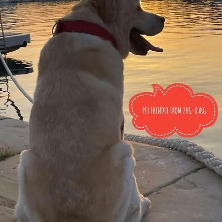 Ita Pet Friendly Apartment