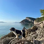 Apartment Ita Pet Friendly