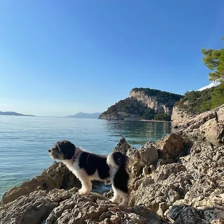 Appartement Ita Pet Friendly