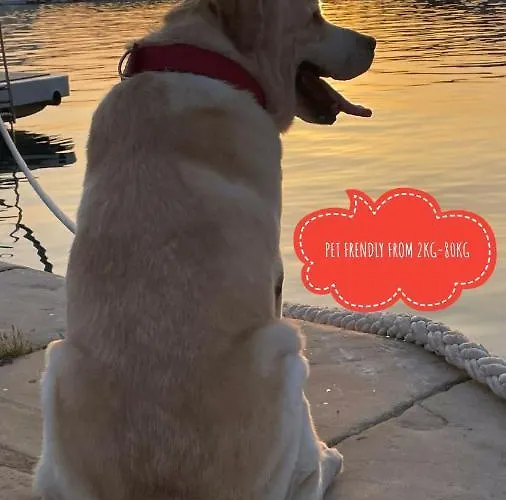Ita Pet Friendly شقة