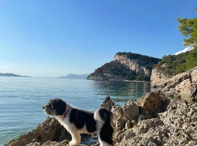 شقة Ita Pet Friendly